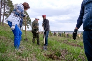 Николай Козлов высадил молодые деревья в роще Могилице
