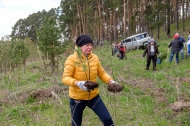 Николай Козлов высадил молодые деревья в роще Могилице