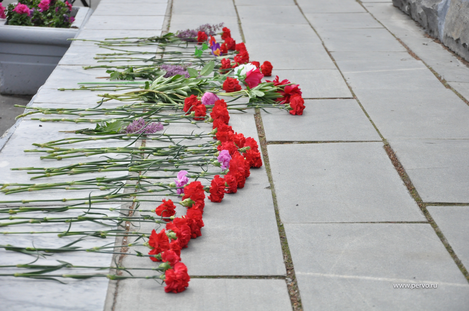Депутаты почтили память павших в годы Великой Отечественной войны